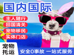 武汉机场货运国际宠物托运 【国